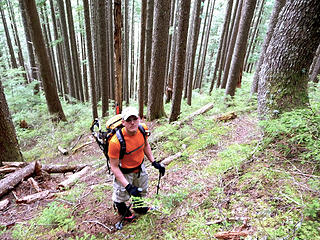 Mike leads the way down the long ridge back to the road. Sunglasses in an old growth forest?