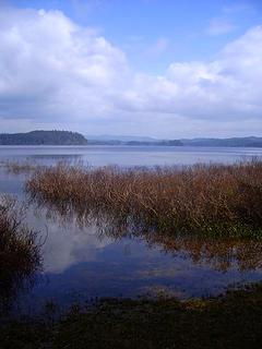 Erickson Bay - Lake Ozette