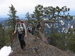 Knarled pine point (4700 ft)