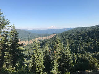 Mt. Shasta from the PCT.