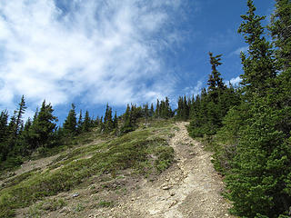 Elk Peak Trail
