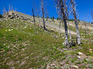 A tilted slab on the way to Harts Pass Peak.