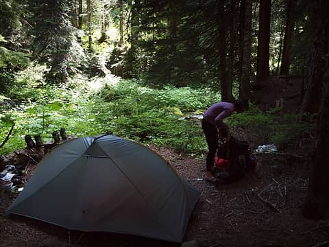 a fine campsite near 3400'