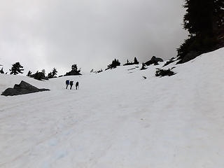 Wide open snowy terrain
