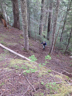 Katie on steep forest slope