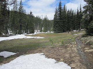 Meadow after Creek Crossing