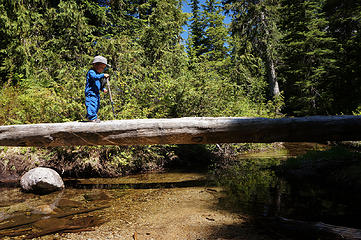 Jake crossing a log bridge