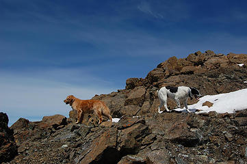 Gusto and Jasper at the summit of Earl