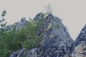 Lower section of Black Ridge's summit ridge.