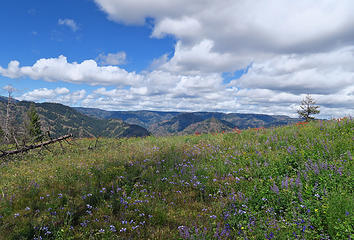 Wenaha-Tucannon Wilderness, Umatilla National Forest, Washington.