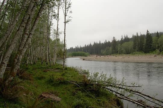Bogachiel River