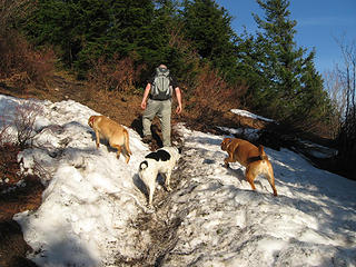 Scott leads the dogs