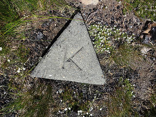 Marker on Harts Pass Pk summit, 6828.'
