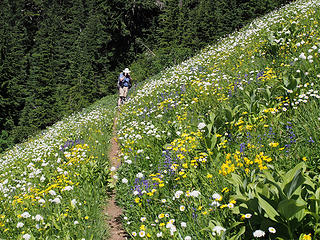 Jim Photographing the Wildflowers