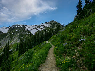 Trail to Heather Pass