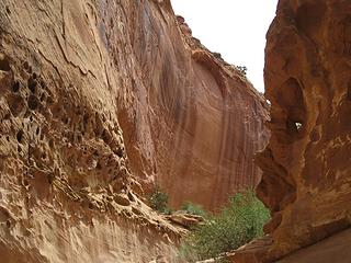 Wingate formation canyon twists