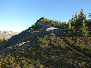 A trail leads to the top of Grasshopper Peak, 7125.'