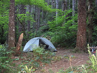 Woodsy campsite