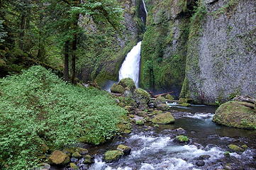 Wahclella Falls- Tanner Creek