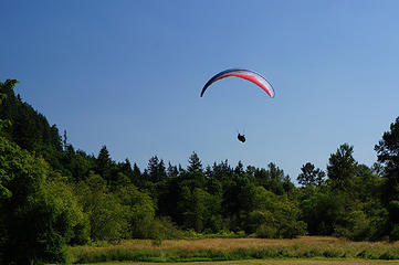 Paraglider landing at the parking area of Poo Poo Point