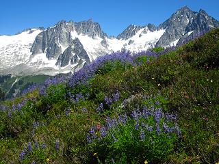 The Best of the North Cascades