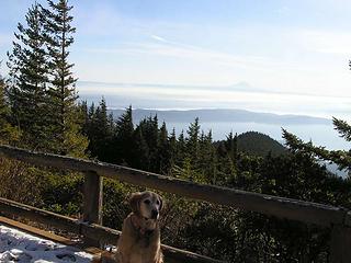 Sadie with Mt. Rainier behind on Mt. Walker
