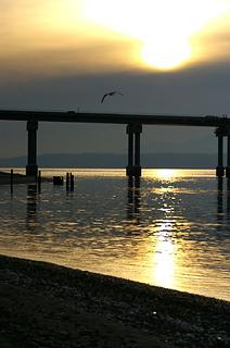 Sunset, pilings, bridge, gull