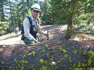 Ranger -Sawyer Mike Liu, Lookout Mtn trail, 08.24.17
