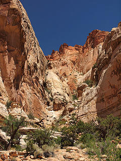 View Along Capitol Reef Scenic Drive