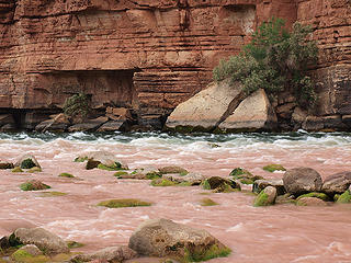 Colorado River at Lee's Ferry