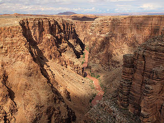 Little Colorado River Gorge from Viewpoint