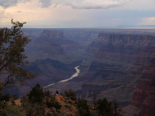 Grand Canyon and Colorado River From Desert View