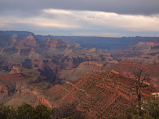 Grand Canyon from Roadside Viewpoint