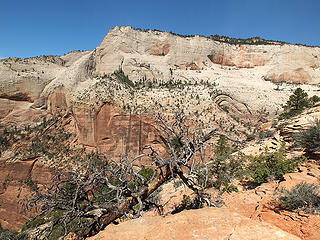 Cathedral Mountain from Angel's Landing