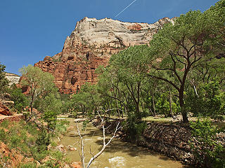 Great White Throne and Virgin River from Grotto