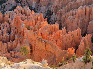 Glowing Hoodos near Bryce Point at Sunrise