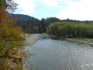 Queets River Trail (approx) mile 3.0 090417