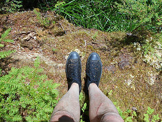 shoe shot - Upper Crossing Way Trail - Queets Valley 080917