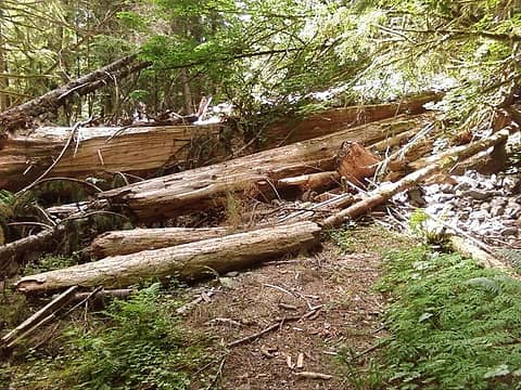 Landslide damage on CCC trail