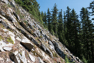 Slabby rocks on the east side of the ridge. It was an easy scramble in the trees beyond.
