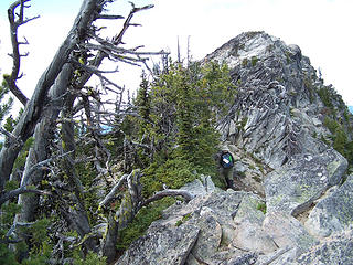 Looking up the ridge towards the summit.