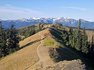 Klahhane Ridge point 5539 summit view