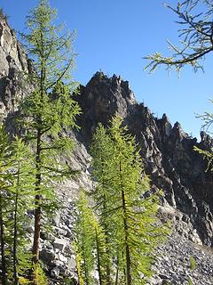 Larches and crag