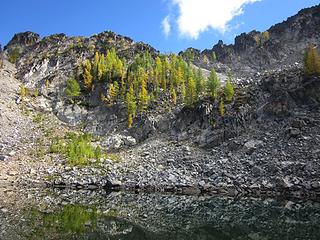 More larches above the lake