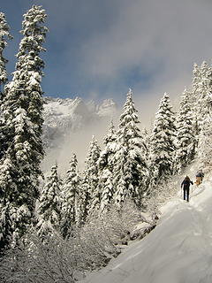 Snow Lake Trail 11-23-08