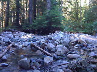 Alice creek where the trail crosses near the very bottom of the old trail