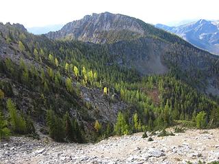 Duncan Hill and larches