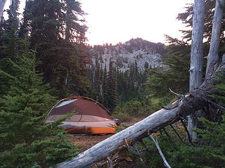 View of Dodger Point's ridge, from camp