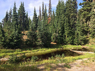 Tiny pond, near the intersection with the waytrail to Ludden Peak