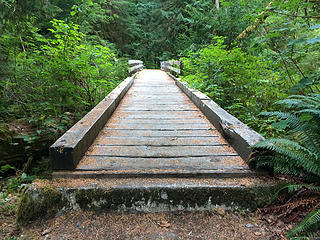 Cool little bridge, Elwha River trail